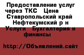 Предоставление услуг через ТКС › Цена ­ 100 - Ставропольский край, Нефтекумский р-н Услуги » Бухгалтерия и финансы   